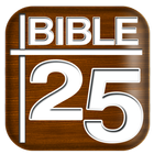 Bible 25 icône