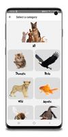 Animals for Kids | Toddlers Affiche