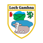 Gowna GAA icône