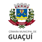 Câmara de Guaçuí Meu Vereador icon
