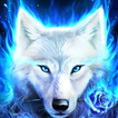 Blue Ice Fire Wolf Wallpaper