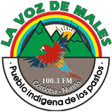 La Voz de Males-icoon