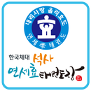 한국체대 연세효태권도 APK