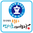한국체대 연세효태권도 icono