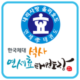 한국체대 연세효태권도 icon