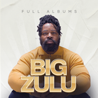 Big Zulu All Songs icon