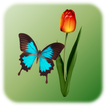 Butterfly Tap icon