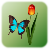 तितली नल APK