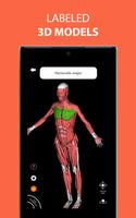 Human Anatomy Learning - 3D imagem de tela 2
