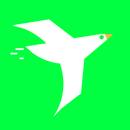 CocaiRunner APK