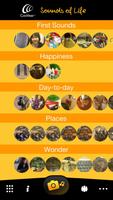 Cochlear Sounds of Life постер