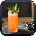 Cocktail Recipes