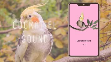Cockatiel Sounds Affiche