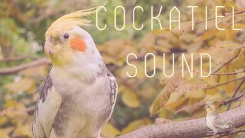 Cockatiel Sounds capture d'écran 1