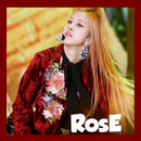 new Rose Blackpink walpaper hd APK