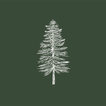Evergreen Healing