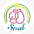 Coach Soul