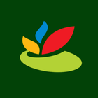 Coasul Colaborador icon
