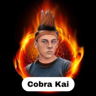 Cobra Kai Wallpapers icône