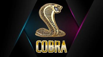Cobra Xtream pro capture d'écran 1