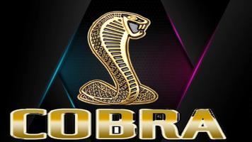Cobra Xtream pro capture d'écran 2