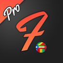 Flamingo Flags Pro APK