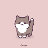 카카오톡 테마 - 블랙 턱시도 냥이 (카톡테마) ícone