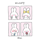 카카오톡 테마 - 바니네컷_화이트 핑크 biểu tượng