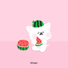 카카오톡 테마 - 달콩_여름 수박 핑크 biểu tượng
