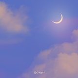 카카오톡 테마 - 하늘_고요한 새벽 simgesi