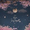 카카오톡 테마 - 오늘이 제일 예쁘다_밤 벚꽃