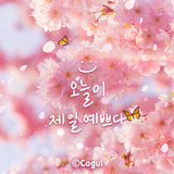 카카오톡 테마 - 오늘이 제일 예쁘다_핑크 벚꽃 Zeichen