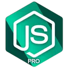 Learn NodeJS PRO Offline Tutor icon