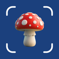 Mushroom Finder:Mushroom Spots