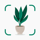 Plantify-icoon