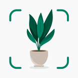 Plantify Identificador Plantas