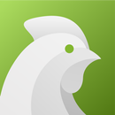 APK ChickenCloud