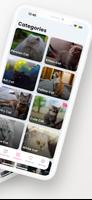 Cute Cat Wallpapers HD - 4K imagem de tela 2