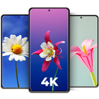 Cool Flower Wallpapers 4K | HD icône