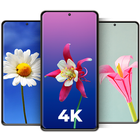 Cool Flower Wallpapers 4K | HD icon