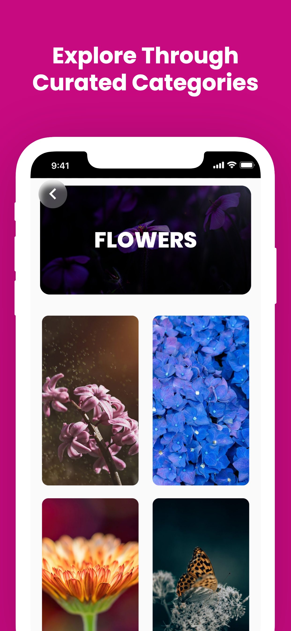 ดาวน์โหลด Cool Flower Wallpapers 4K HD APK สำหรับ Android