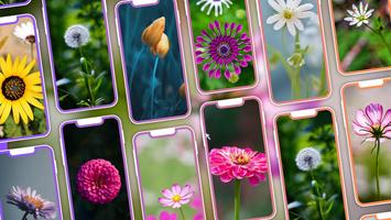 Cool Flower Wallpapers 4K | HD Affiche
