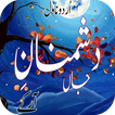 Urdu Novel Dushmanan E Jaan
