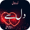Romantic Urdu Novel Dill Sy APK