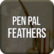 English Novel Pen Pal Feathers