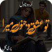 Tu Ishq O Junoon Mera  Novel