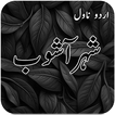 Sher e Ashob Romntic Urdu Novl