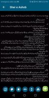 Sher e Ashob screenshot 2