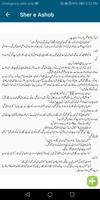 Sher e Ashob screenshot 3