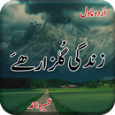 Zindagi Gulzar Hai Urdu Novel APK
